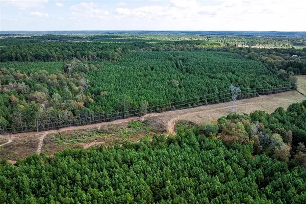 a view of a lush green forest with trees and some houses