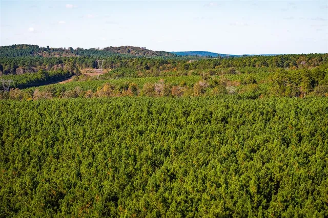 a view of a field with an ocean