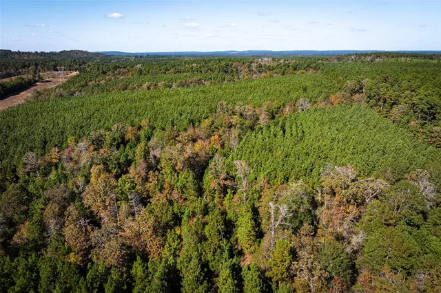 a view of a yard with an outdoor space