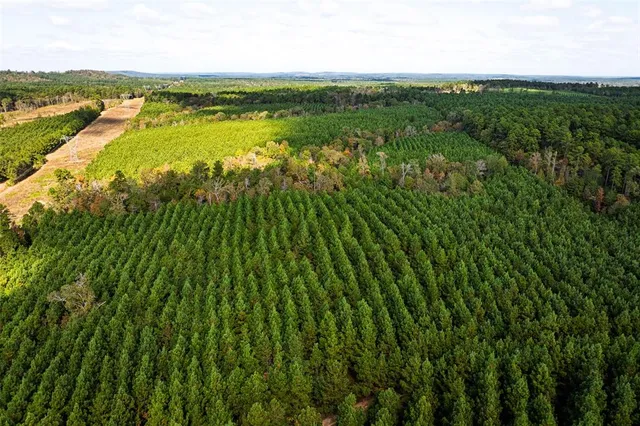 a view of a city with lush green forest