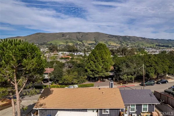 an aerial view of residential houses with outdoor space and trees