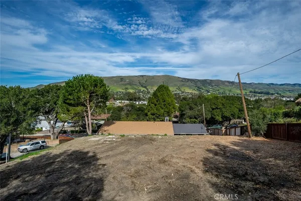 a view of a yard