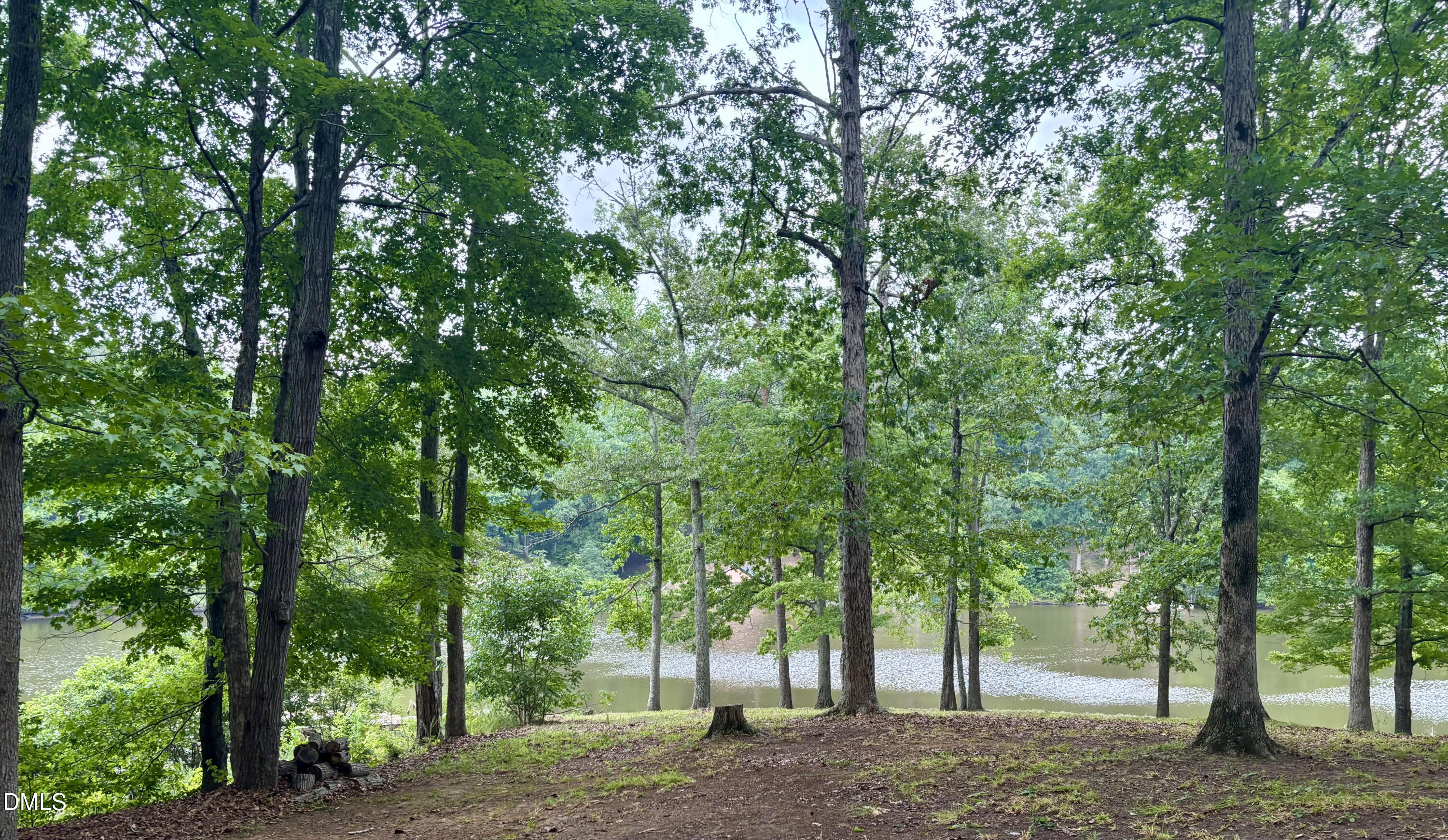 1154 Hyco Hills Road Semora, NC 27343 - Photo 7 of 19 Lake View