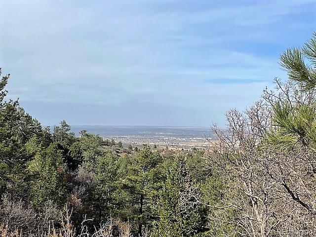 8160 Piute Road, Unit 88 Colorado Springs, CO 80926 - Photo 11 of 12 Gallery Image 11