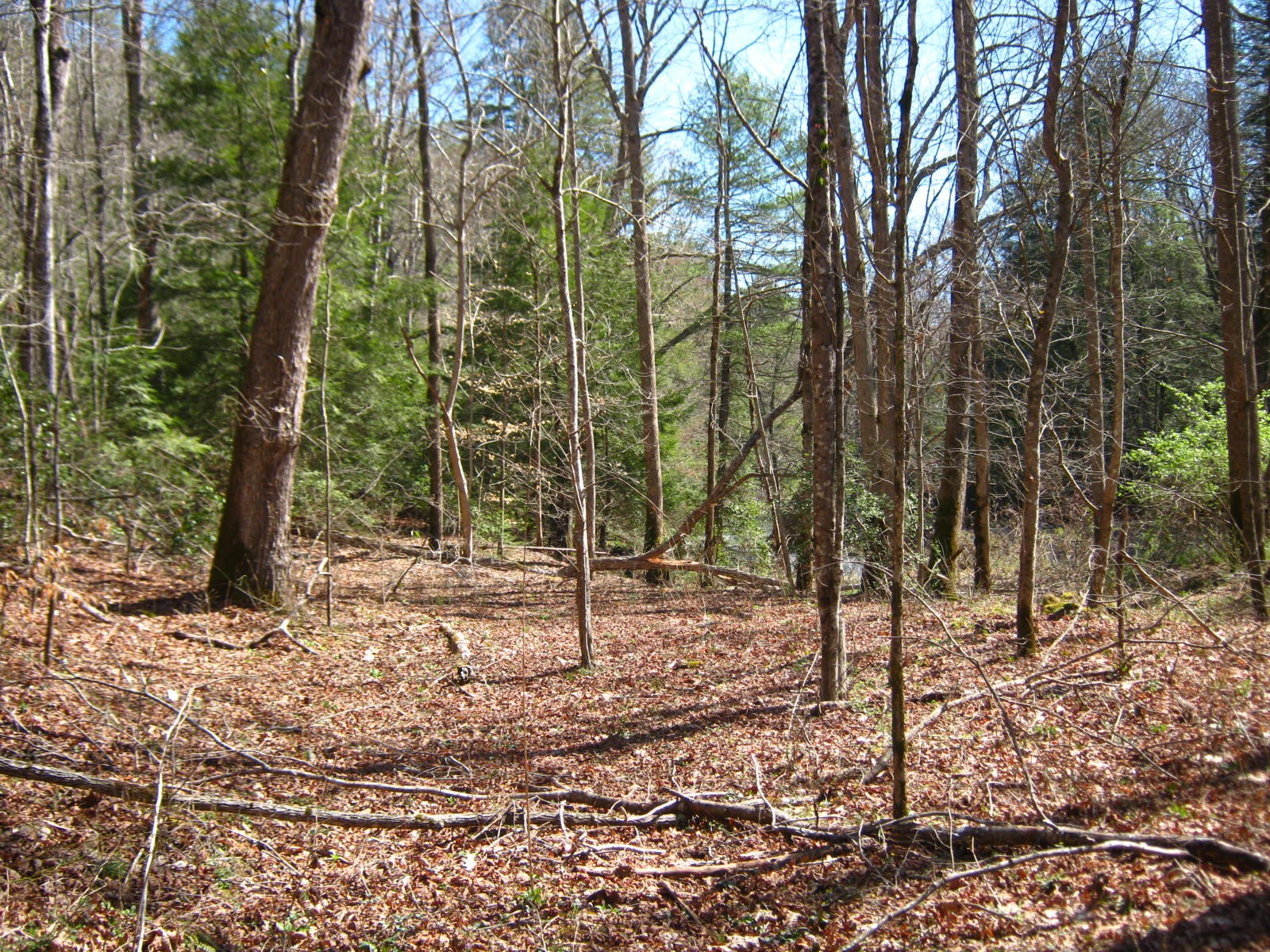 0 Al Goss Road Crossville, TN 38571 - Photo 10 of 19 Gallery Image 10