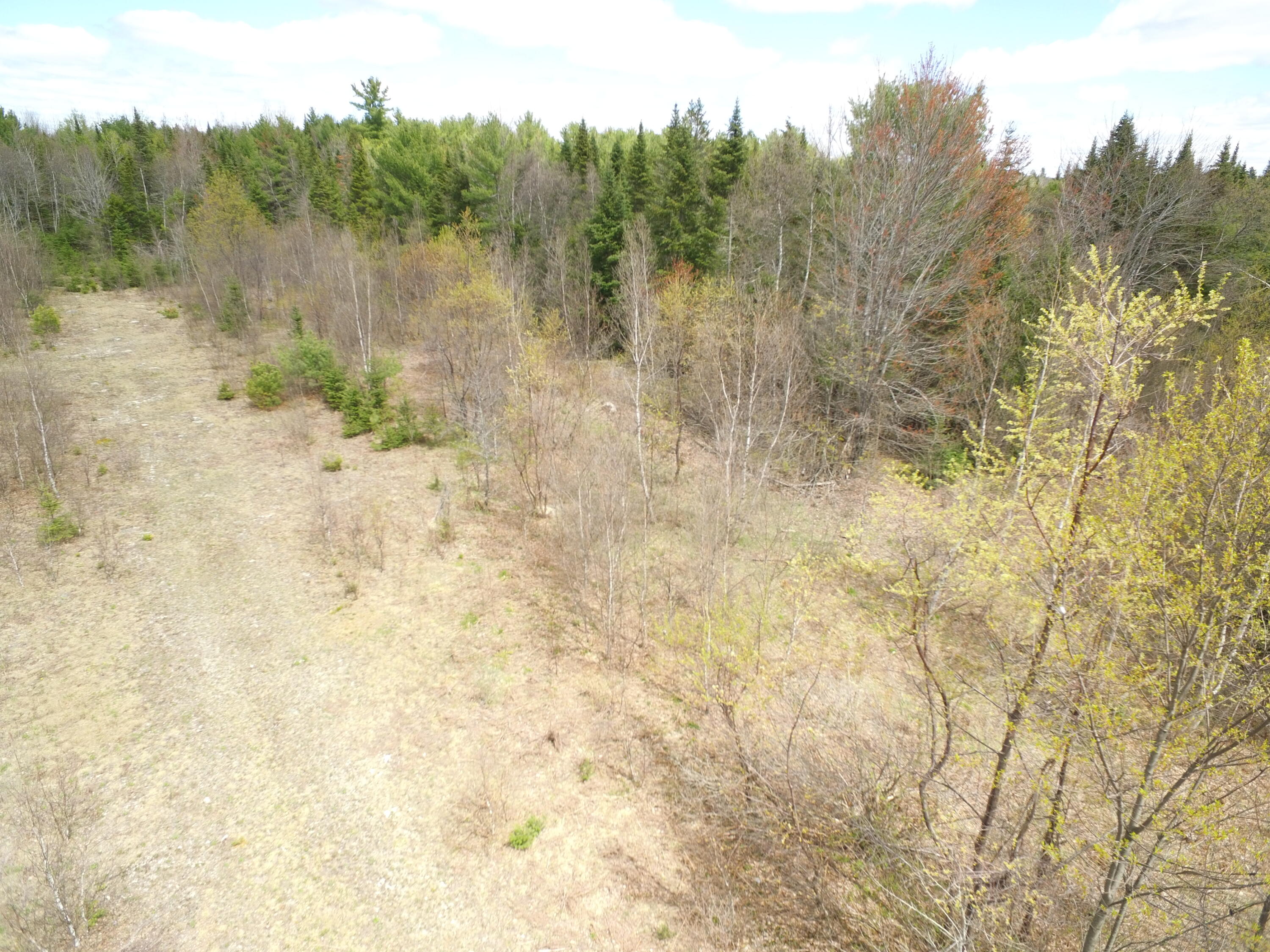 Lot 12 Off Lee Road Springfield, ME 04487 - Photo 18 of 23 DJI_0251