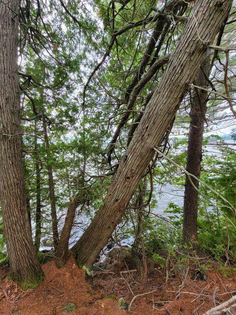 1 Railroad Bed Rd Lake View Milo, ME 04463 - Photo 15 of 27 Lot 4