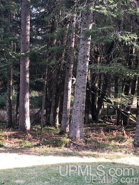 1986 Camp 5 Road Crystal Falls, MI 49920 - Photo 43 of 43 Gallery Image 43
