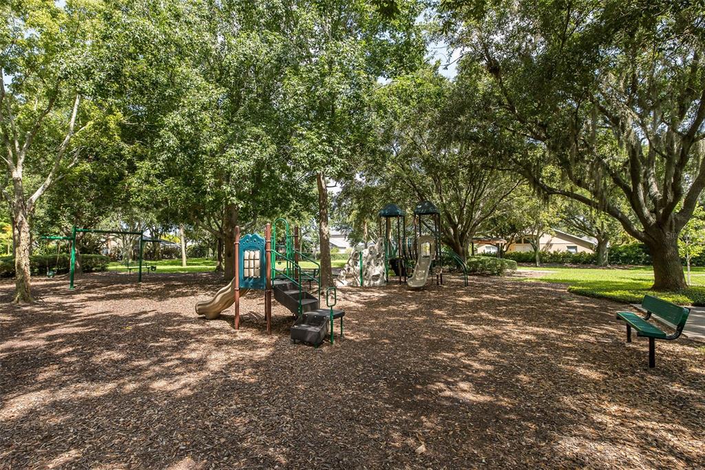 2151 Edelweiss Loop Trinity, FL 34655 - Photo 73 of 78
