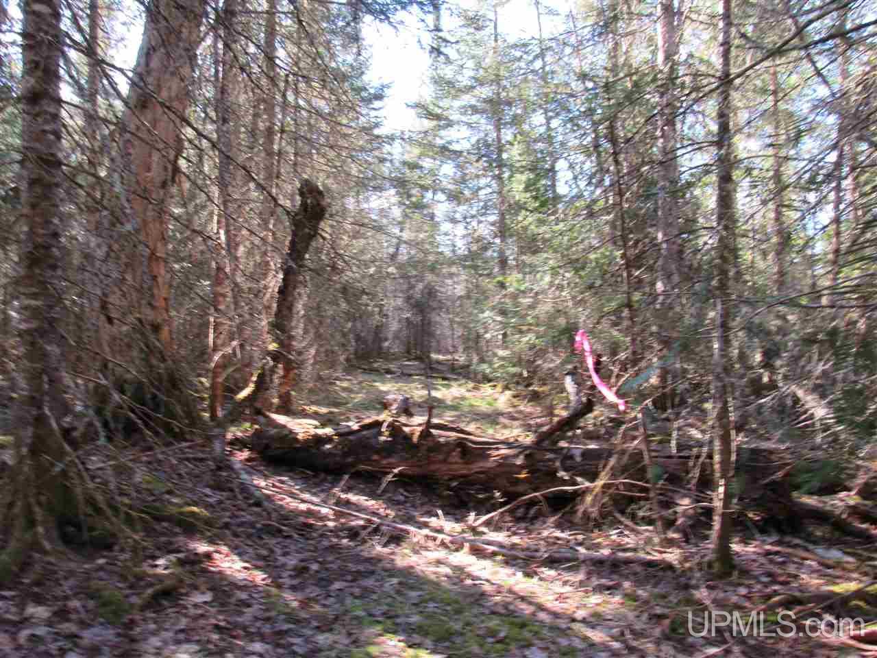 M28 (west) Lanse, MI 49946 - Photo 21 of 30