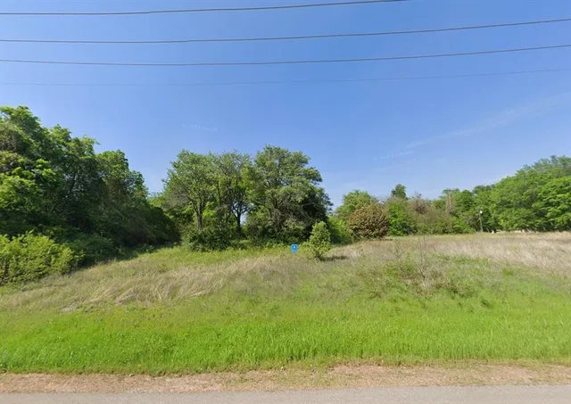 a view of a yard with a tree