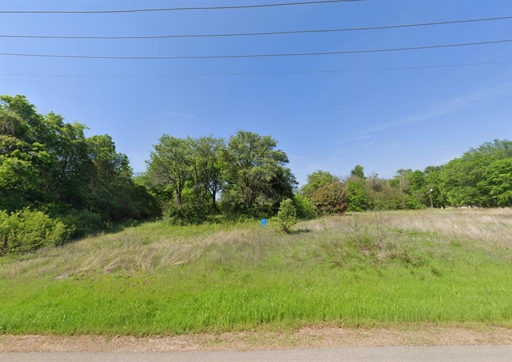 2200 Avant Road Tool, TX 75143 - Photo 2 of 5 a view of a yard with a tree