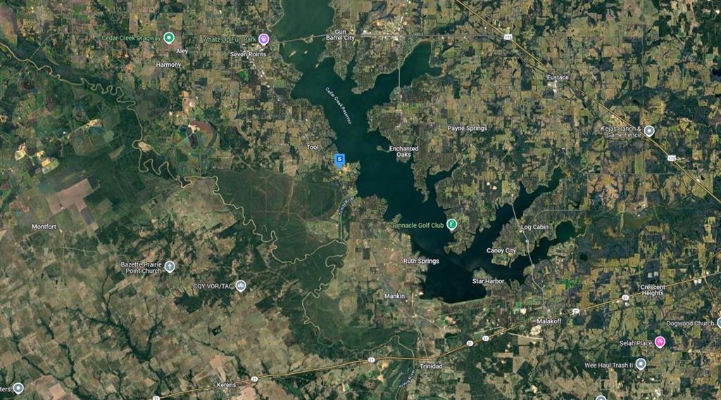 2200 Avant Road Tool, TX 75143 - Photo 4 of 5 a close up of a plant in a garden