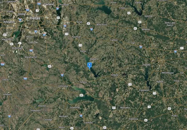 a view of a tree with a tree