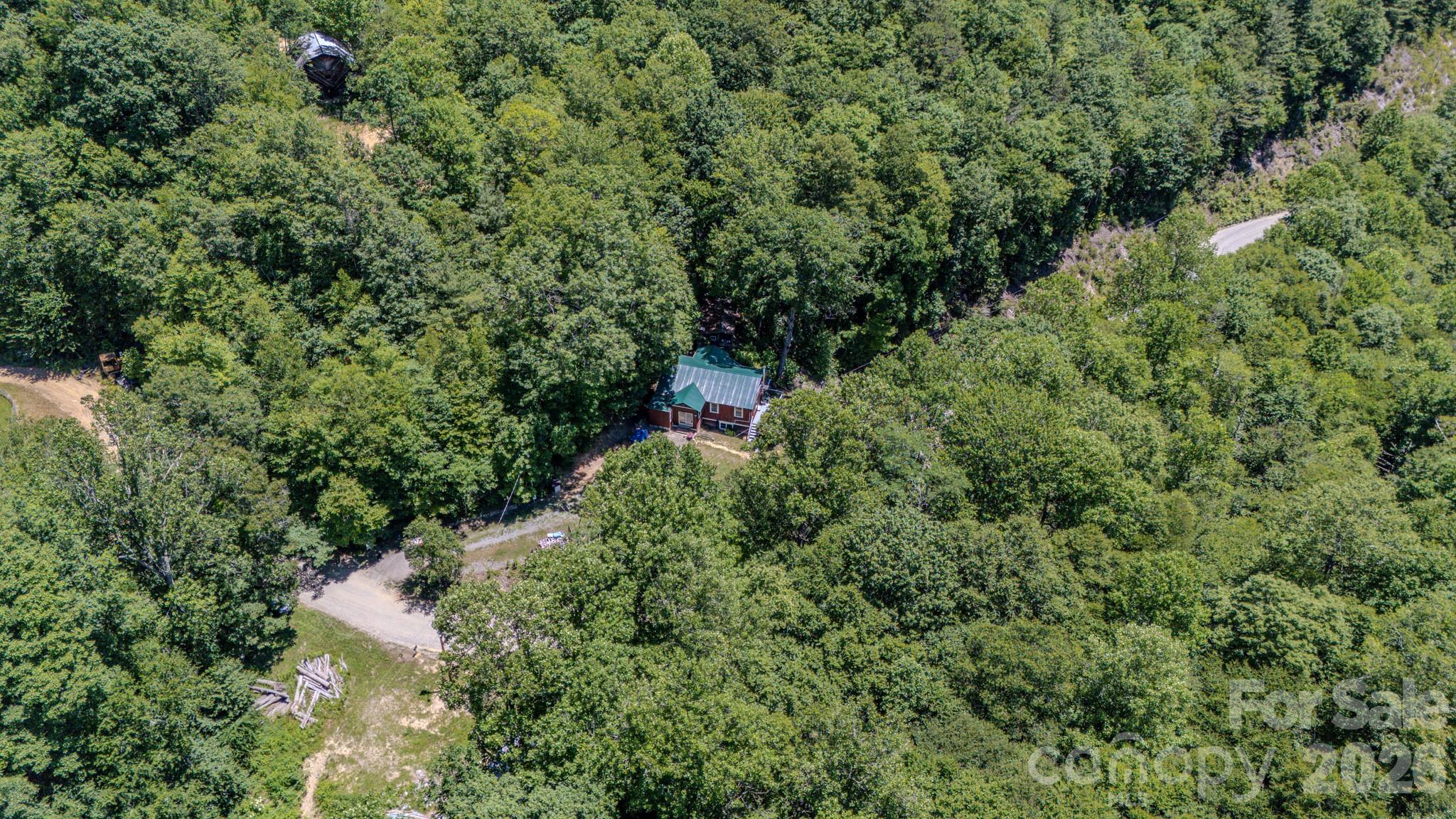 1712 Little Crk Road Hot Springs, NC 28743 - Photo 6 of 44