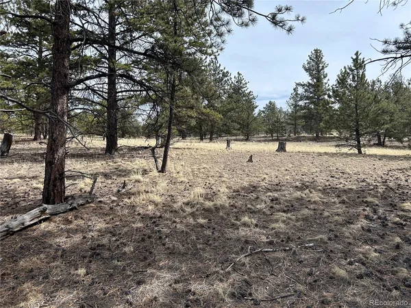 $71,500 | 2146 Wagon Wheel Road, Hartsel, CO 80449