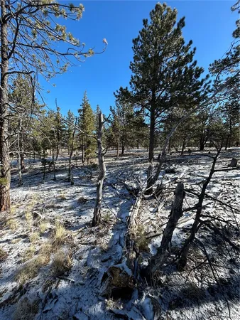 $71,500 | 2146 Wagon Wheel Road, Hartsel, CO 80449