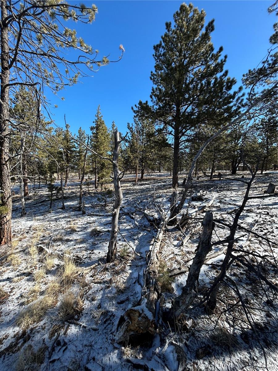 2146 Wagon Wheel Road Hartsel, CO 80449 - Photo 11 of 20