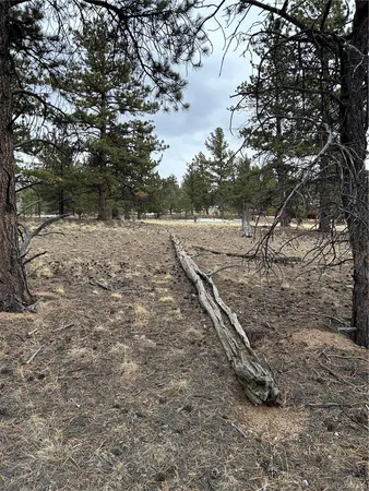 $71,500 | 2146 Wagon Wheel Road, Hartsel, CO 80449