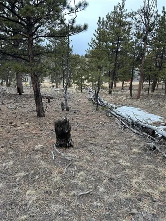 $71,500 | 2146 Wagon Wheel Road, Hartsel, CO 80449