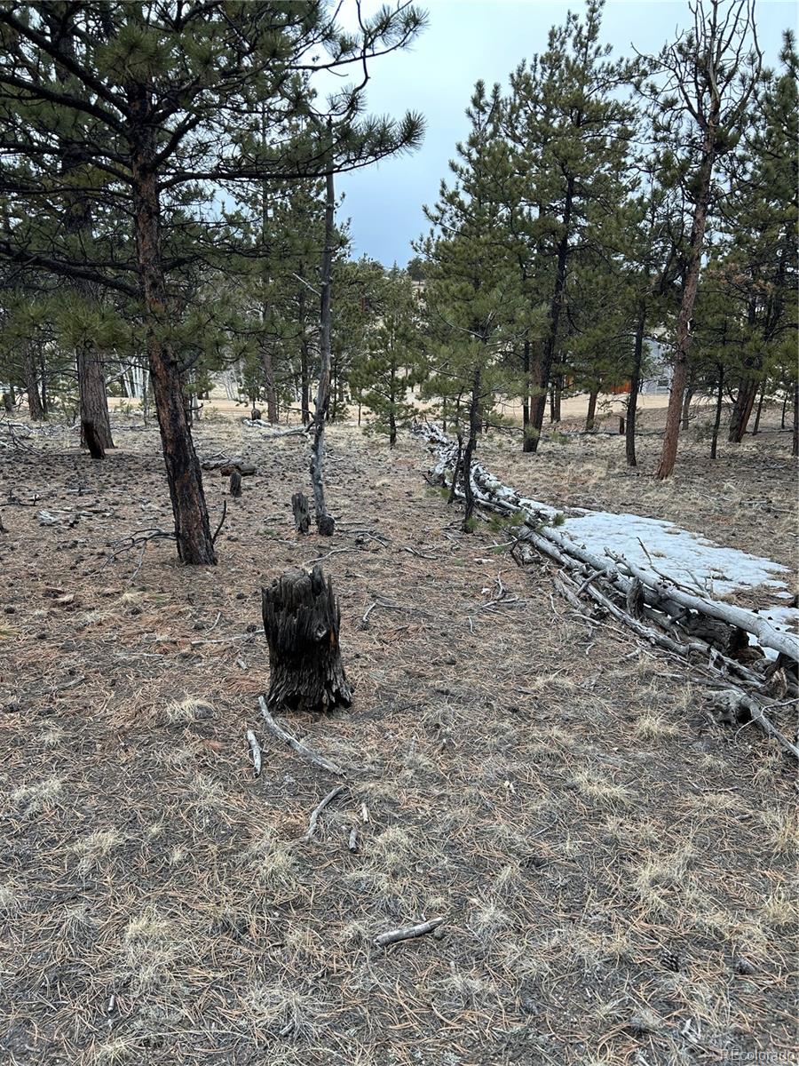 2146 Wagon Wheel Road Hartsel, CO 80449 - Photo 13 of 20