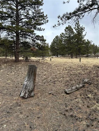$71,500 | 2146 Wagon Wheel Road, Hartsel, CO 80449