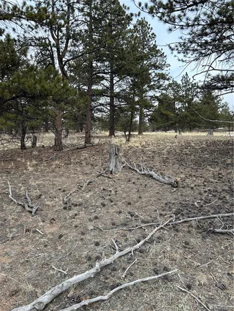 $71,500 | 2146 Wagon Wheel Road, Hartsel, CO 80449