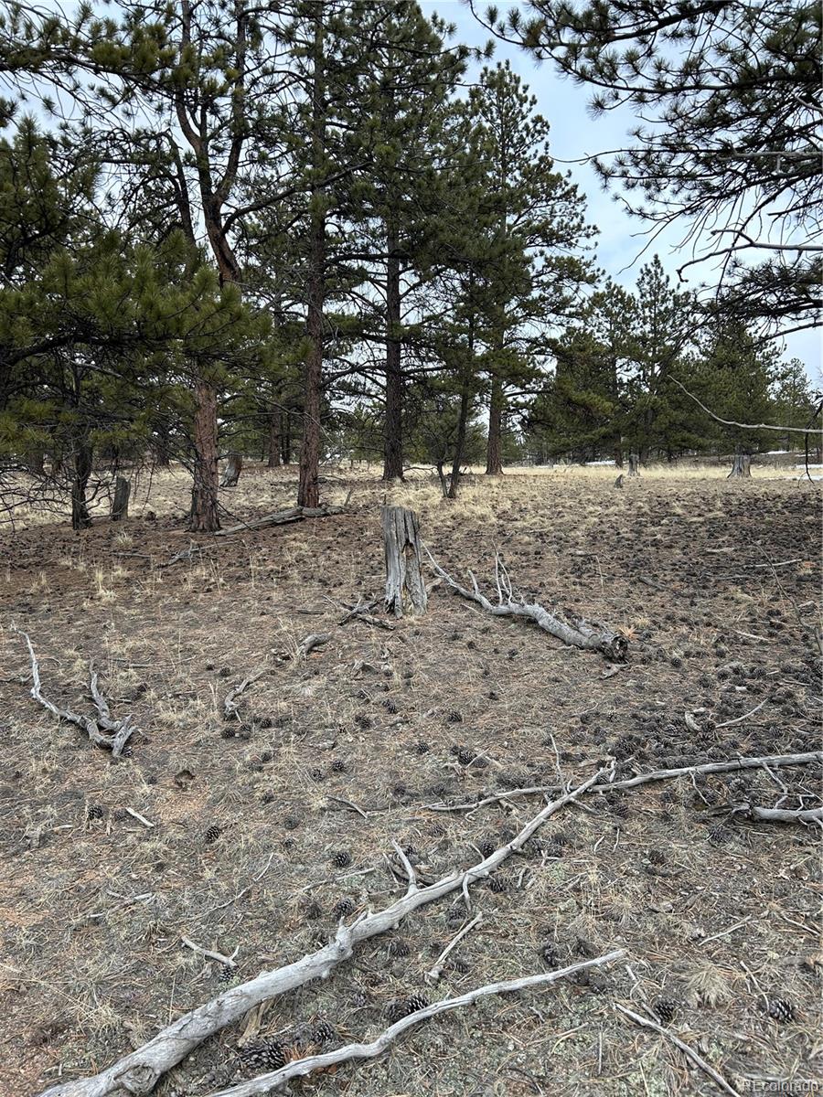 2146 Wagon Wheel Road Hartsel, CO 80449 - Photo 15 of 20