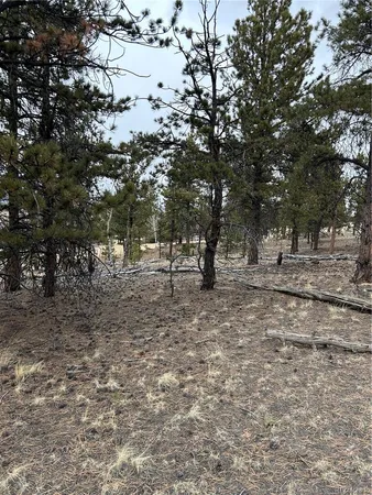$71,500 | 2146 Wagon Wheel Road, Hartsel, CO 80449