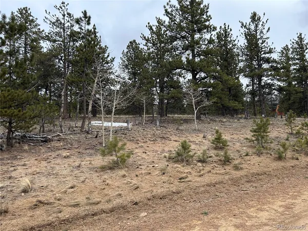 $71,500 | 2146 Wagon Wheel Road, Hartsel, CO 80449
