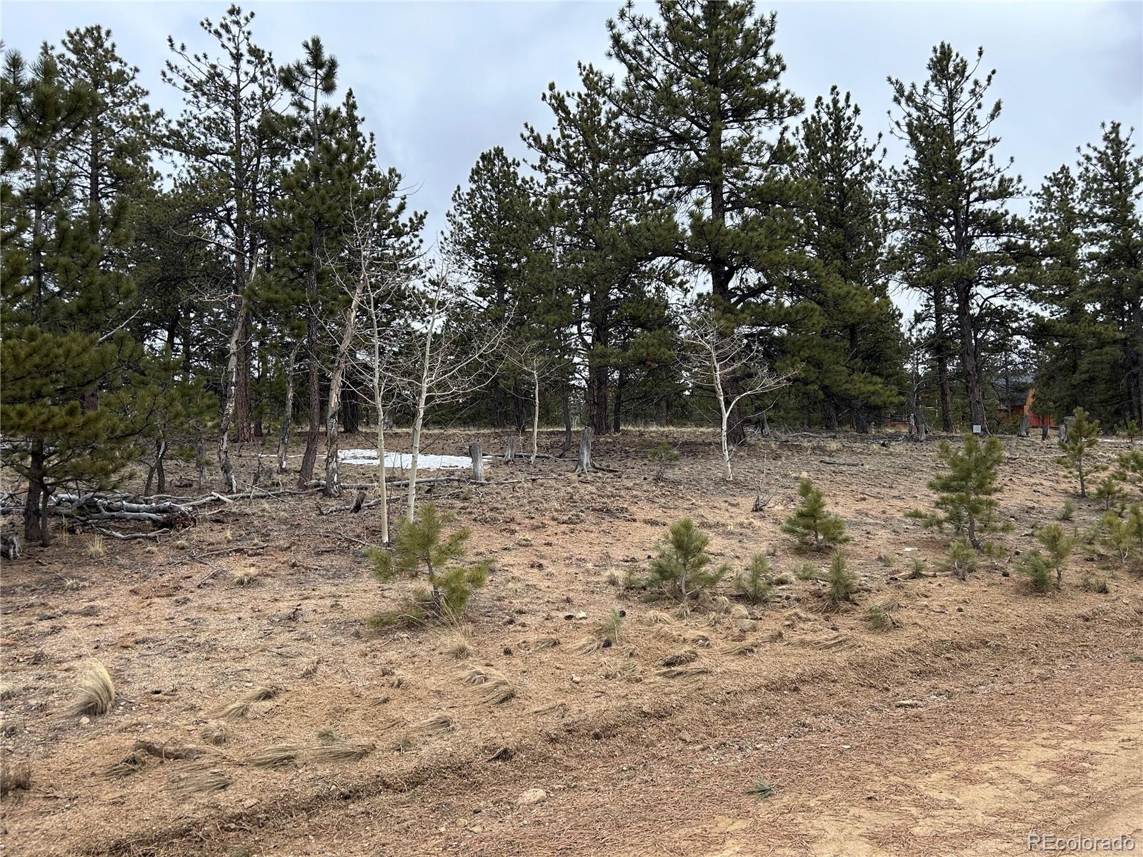 2146 Wagon Wheel Road Hartsel, CO 80449 - Photo 17 of 20