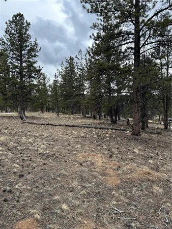 $71,500 | 2146 Wagon Wheel Road, Hartsel, CO 80449