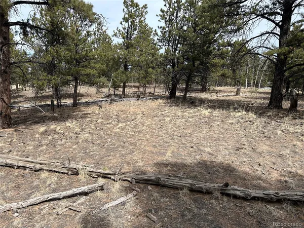 $71,500 | 2146 Wagon Wheel Road, Hartsel, CO 80449