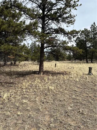 $71,500 | 2146 Wagon Wheel Road, Hartsel, CO 80449