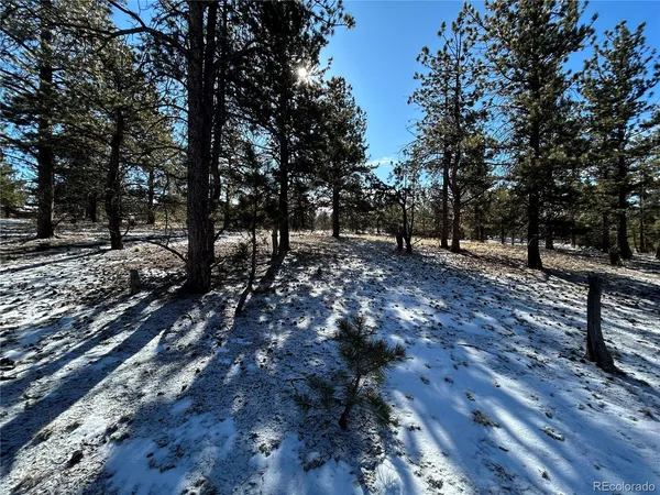 $71,500 | 2146 Wagon Wheel Road, Hartsel, CO 80449