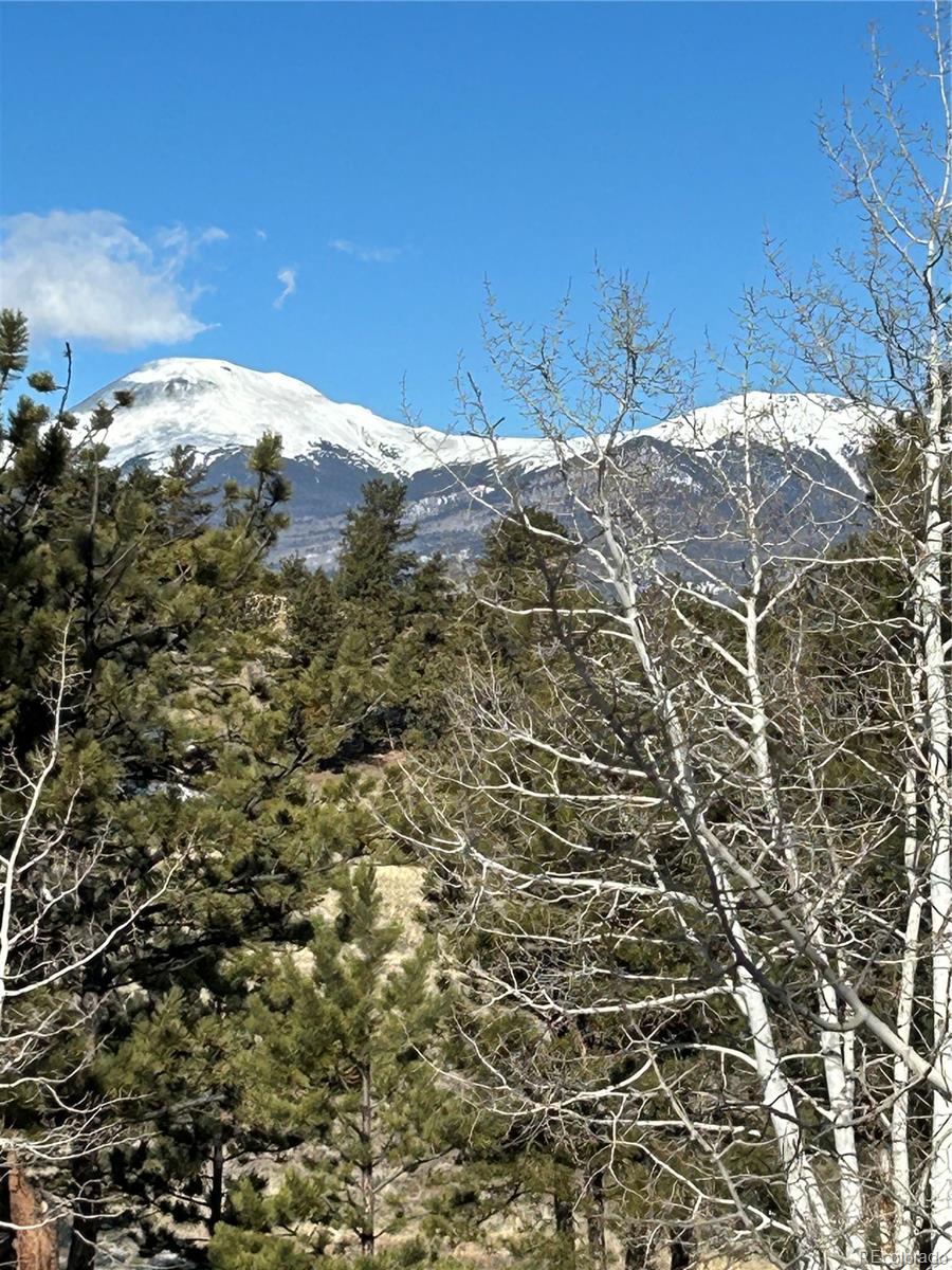 2146 Wagon Wheel Road Hartsel, CO 80449 - Photo 5 of 20