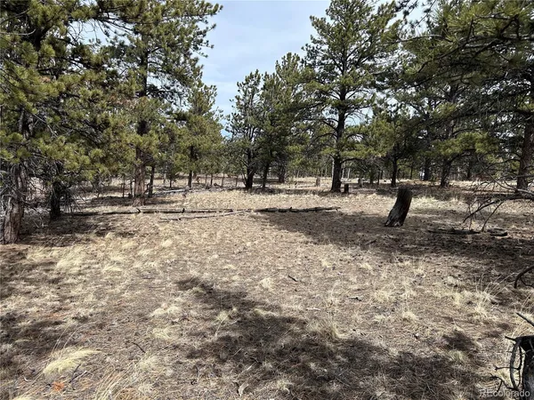 $71,500 | 2146 Wagon Wheel Road, Hartsel, CO 80449