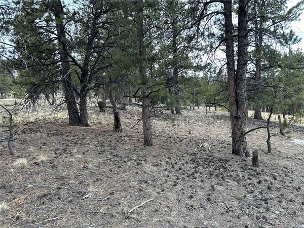 $71,500 | 2146 Wagon Wheel Road, Hartsel, CO 80449