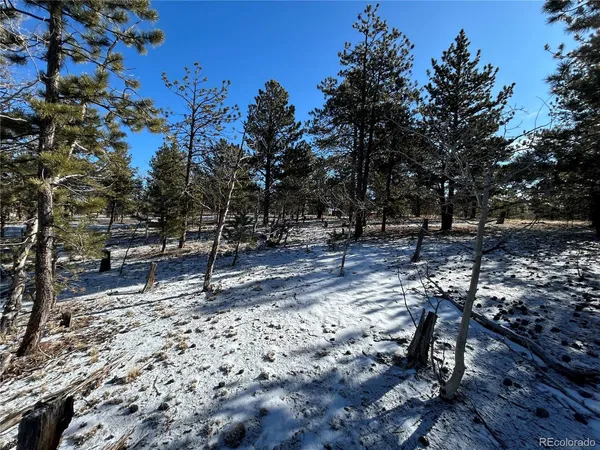$71,500 | 2146 Wagon Wheel Road, Hartsel, CO 80449