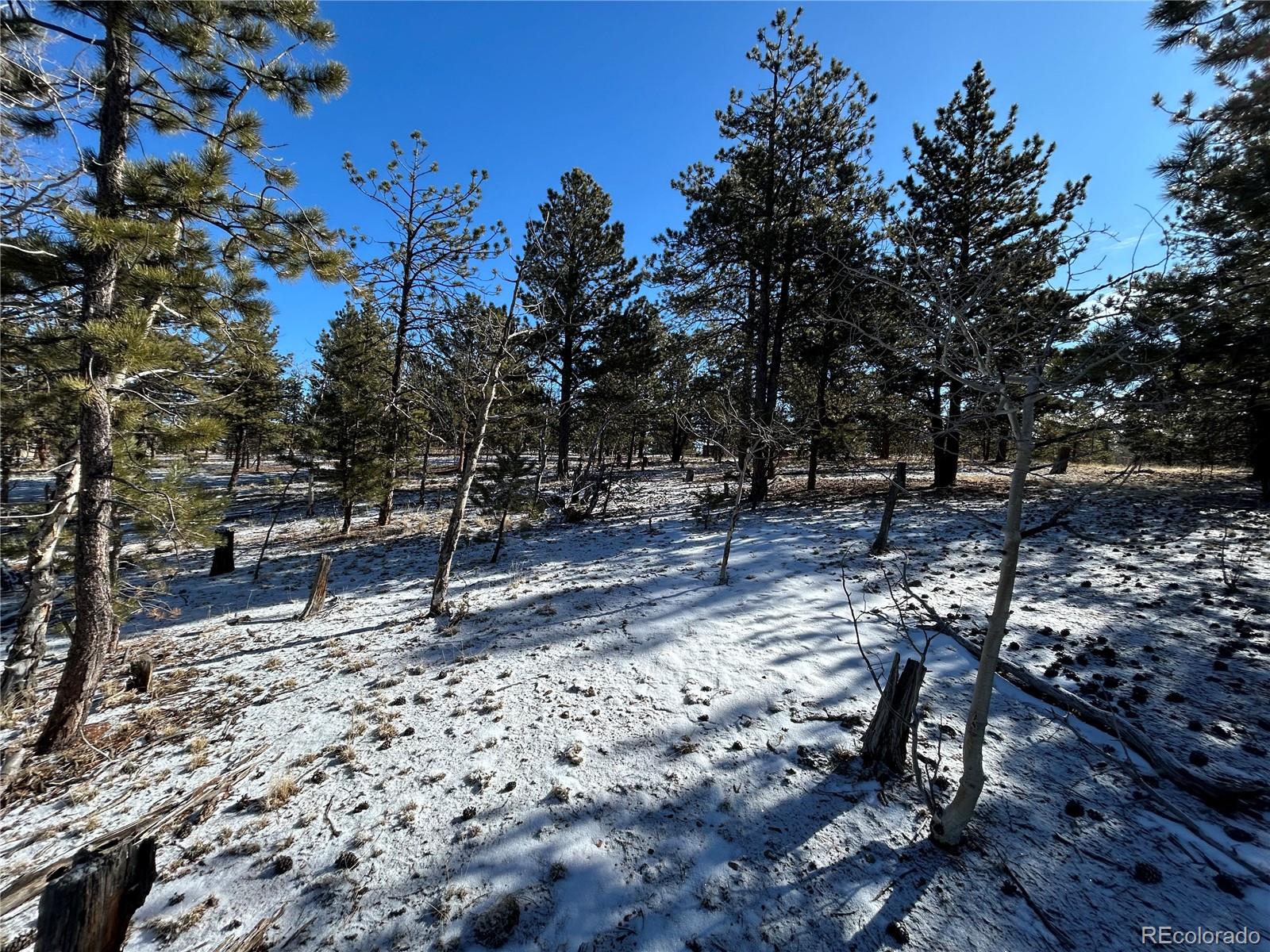 2146 Wagon Wheel Road Hartsel, CO 80449 - Photo 8 of 20