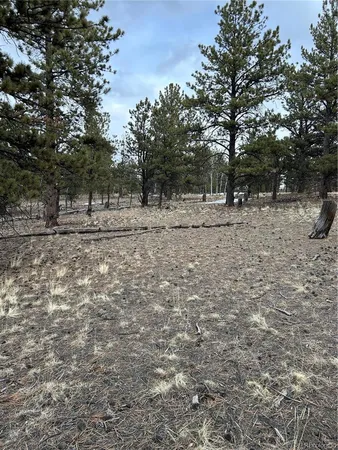 $71,500 | 2146 Wagon Wheel Road, Hartsel, CO 80449