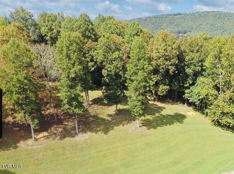 Lot 37 Draft Road, Unit 37 Butler, TN 37640 - Photo 19 of 23 IMG_2295