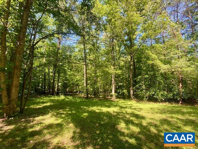 93 West Cedar Drive Ruckersville, VA 22968 - Photo 26 of 36