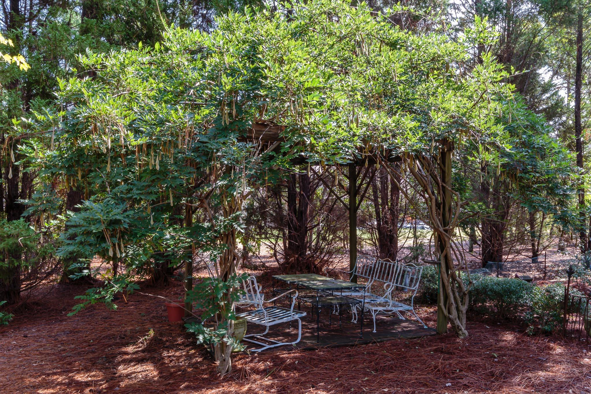 60 McDonald Road East Pinehurst, NC 28374 - Photo 4 of 31 Wisteria covered arbor