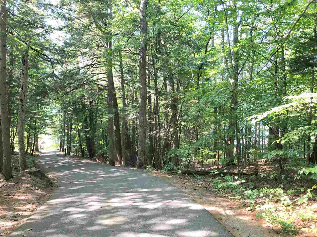Lot 2 Canopache Road, Unit LOT 2 Wolfeboro, NH 03894 - Photo 30 of 30