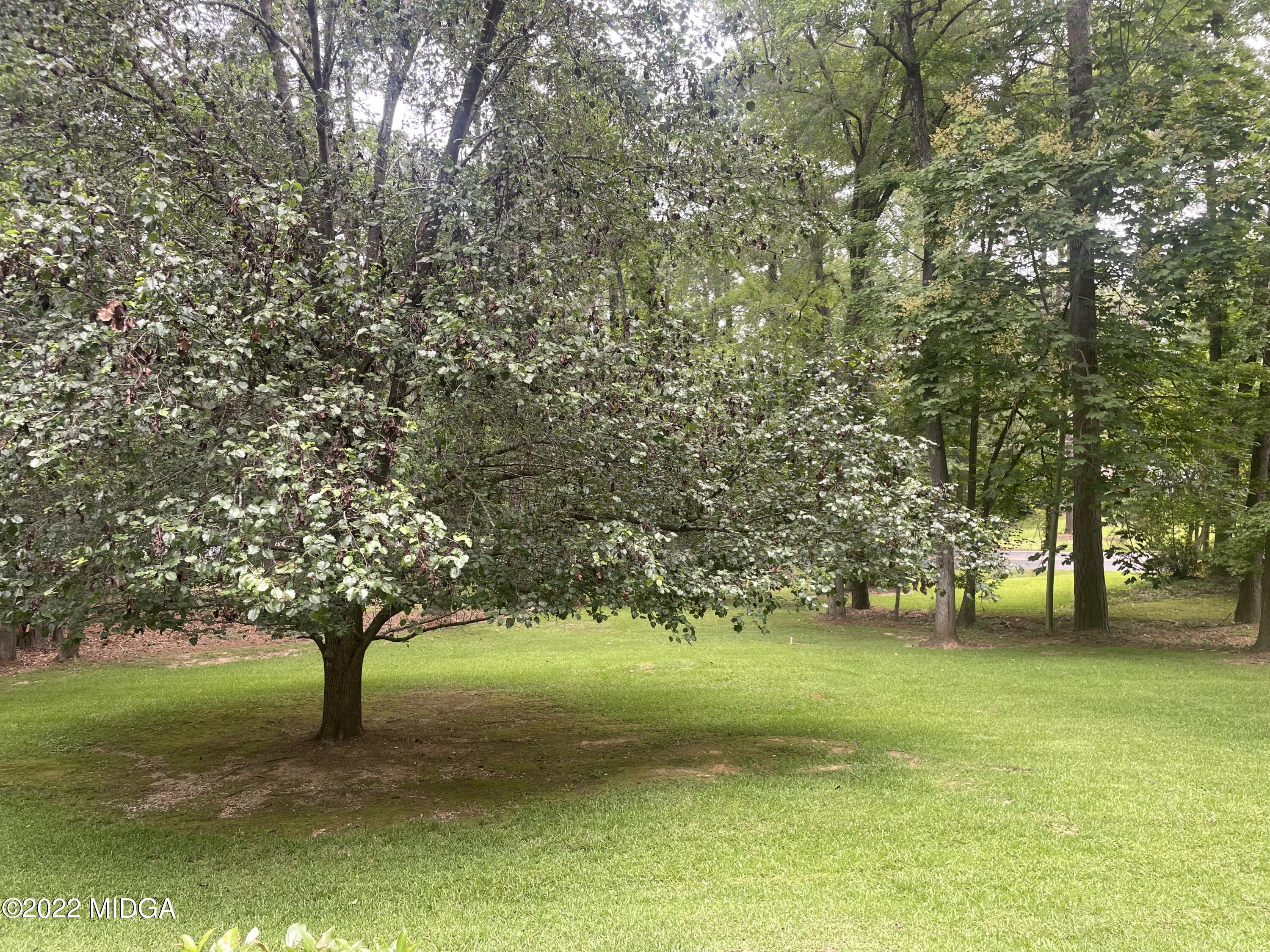 4552 Rivoli Drive Macon, GA 31210 - Photo 17 of 21 IMG_8791