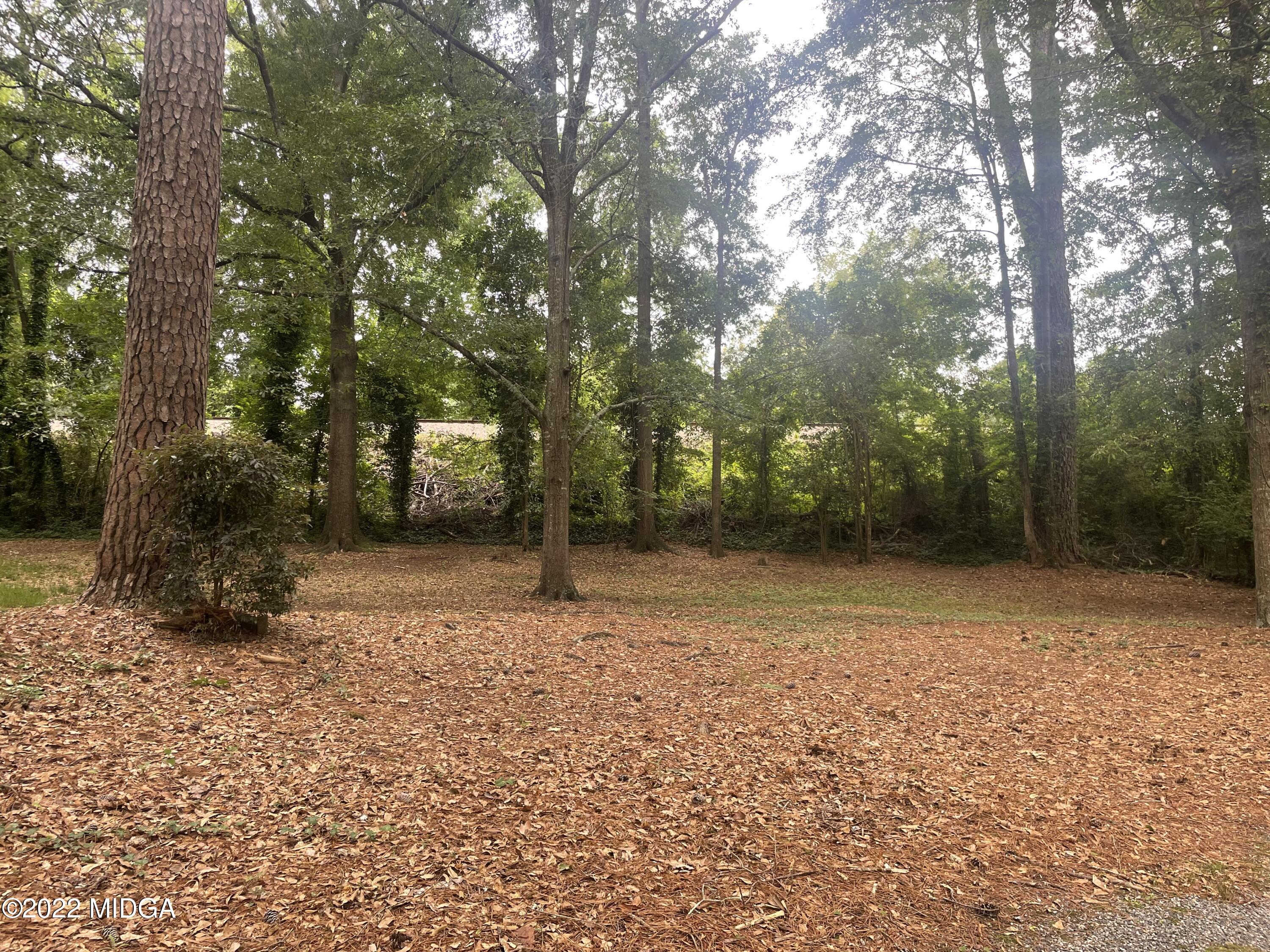 4552 Rivoli Drive Macon, GA 31210 - Photo 19 of 21 IMG_8803