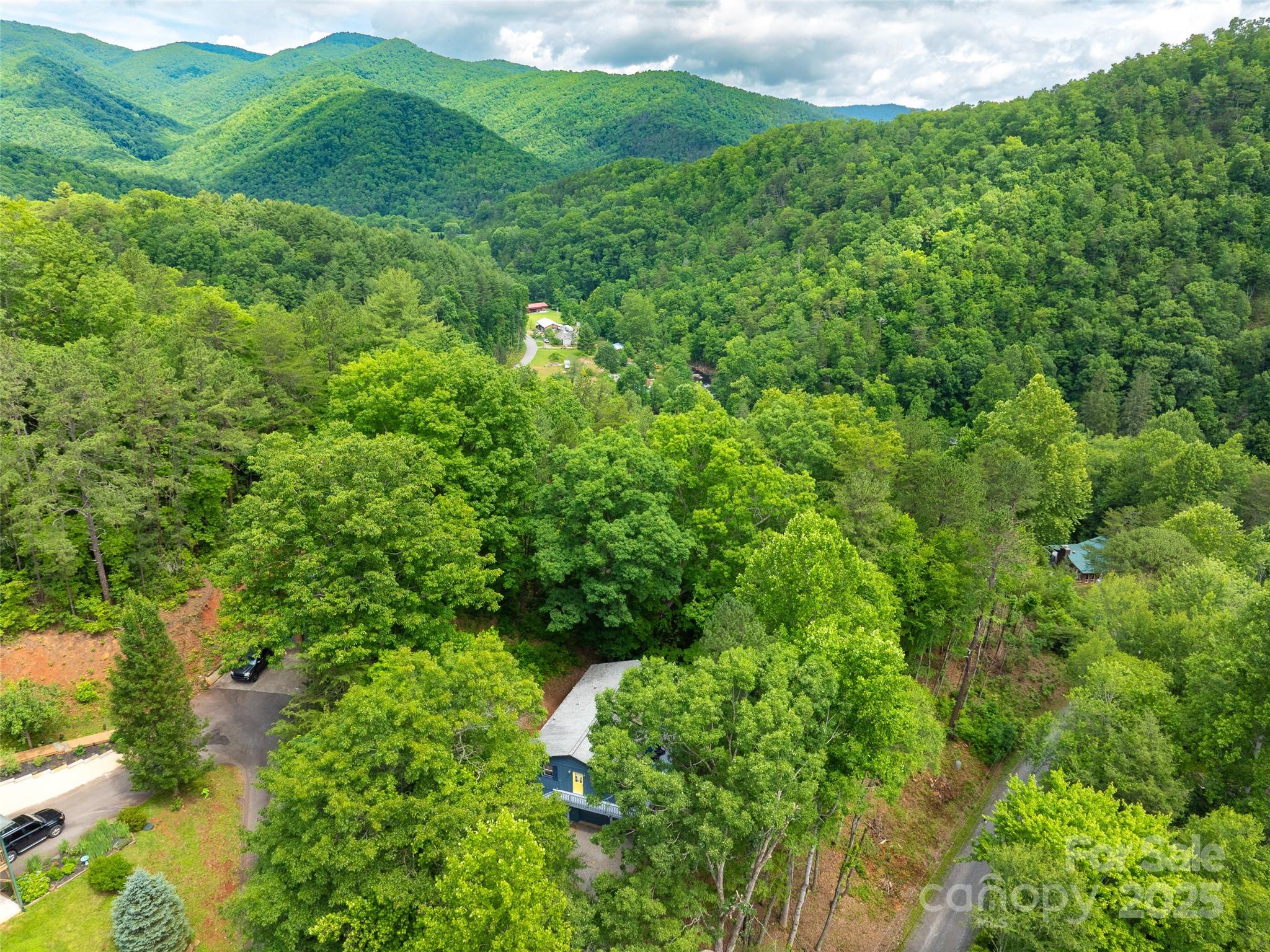 220 Deer Run Road Canton, NC 28716 - Photo 39 of 46 a view of a lush green forest with lots of trees