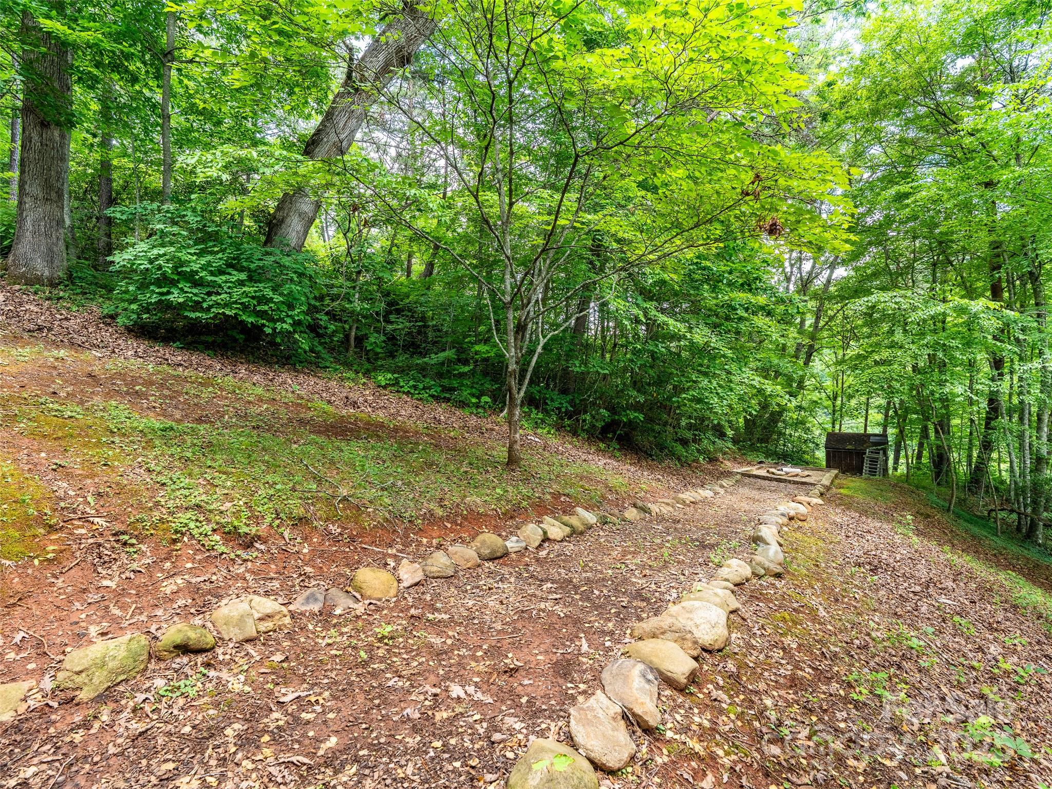 220 Deer Run Road Canton, NC 28716 - Photo 43 of 46 a backyard of a house with lots of green space