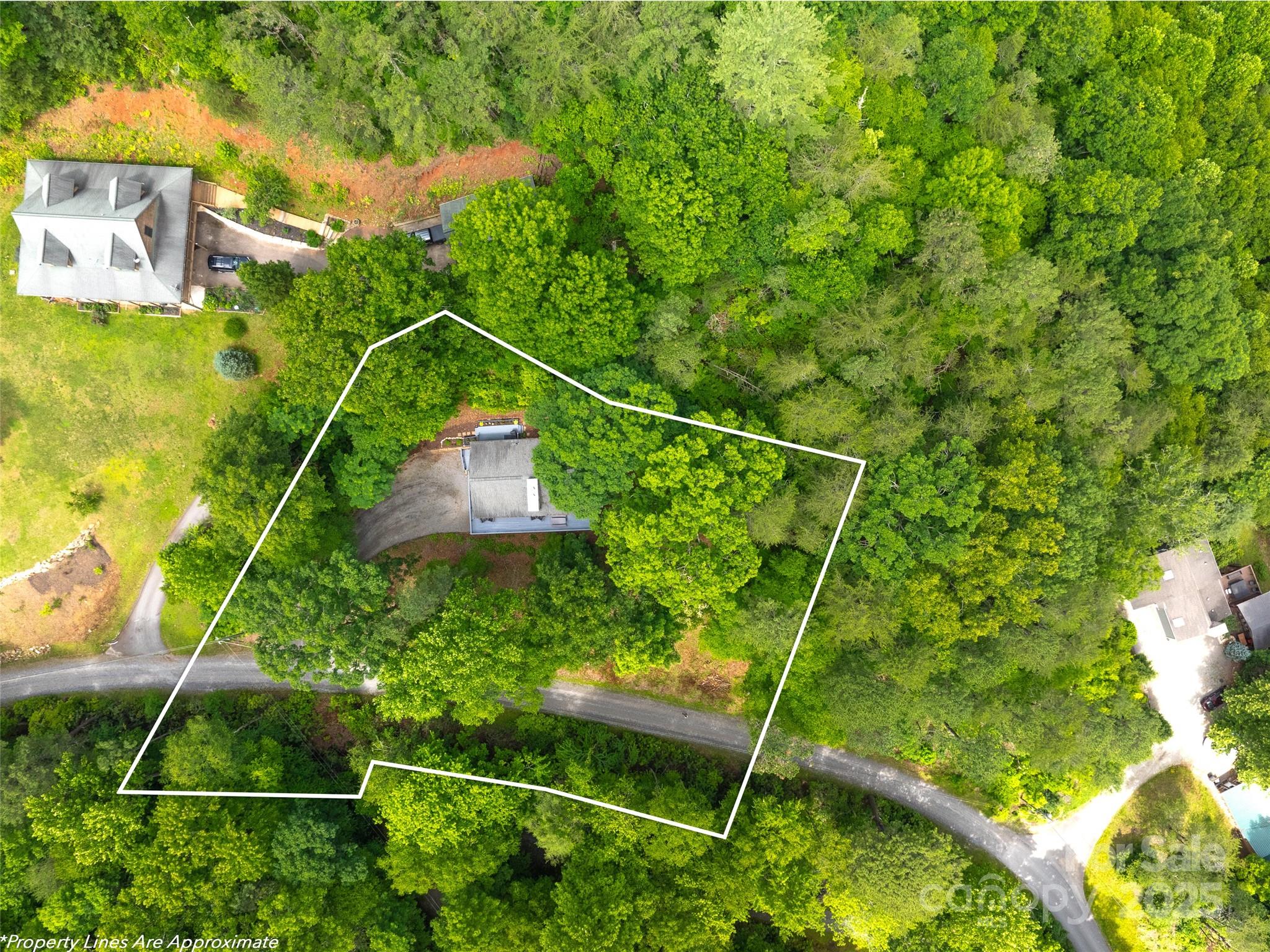 220 Deer Run Road Canton, NC 28716 - Photo 46 of 46